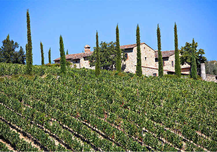 Weingut Brancaia – Die Perle der Toskana